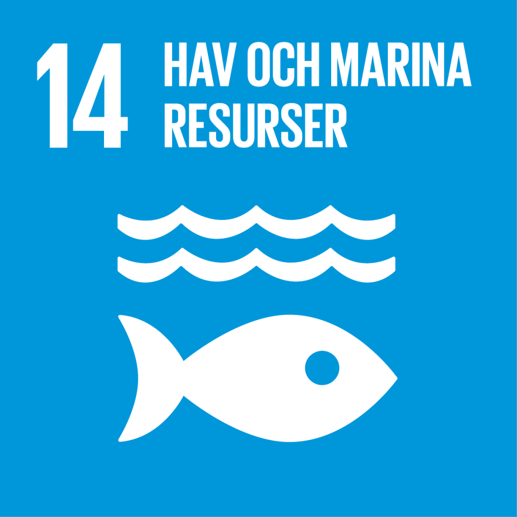 Mål 14: hav och marina resurser