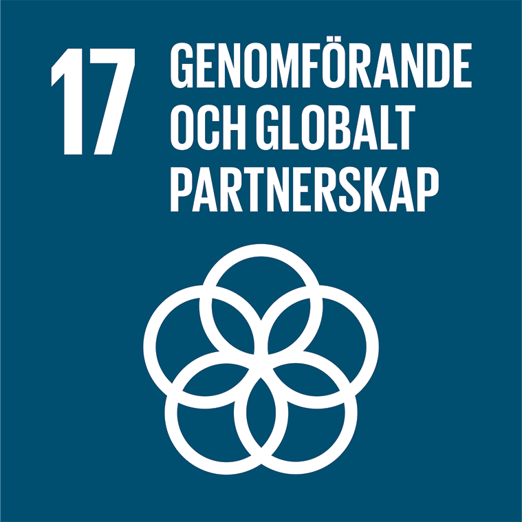 Mål 17: genomförande och globalt partnerskap